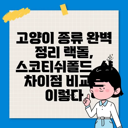 고양이 종류 완벽 정리 랙돌, 스코티쉬폴드, 샴 차이점 비교는 이렇다