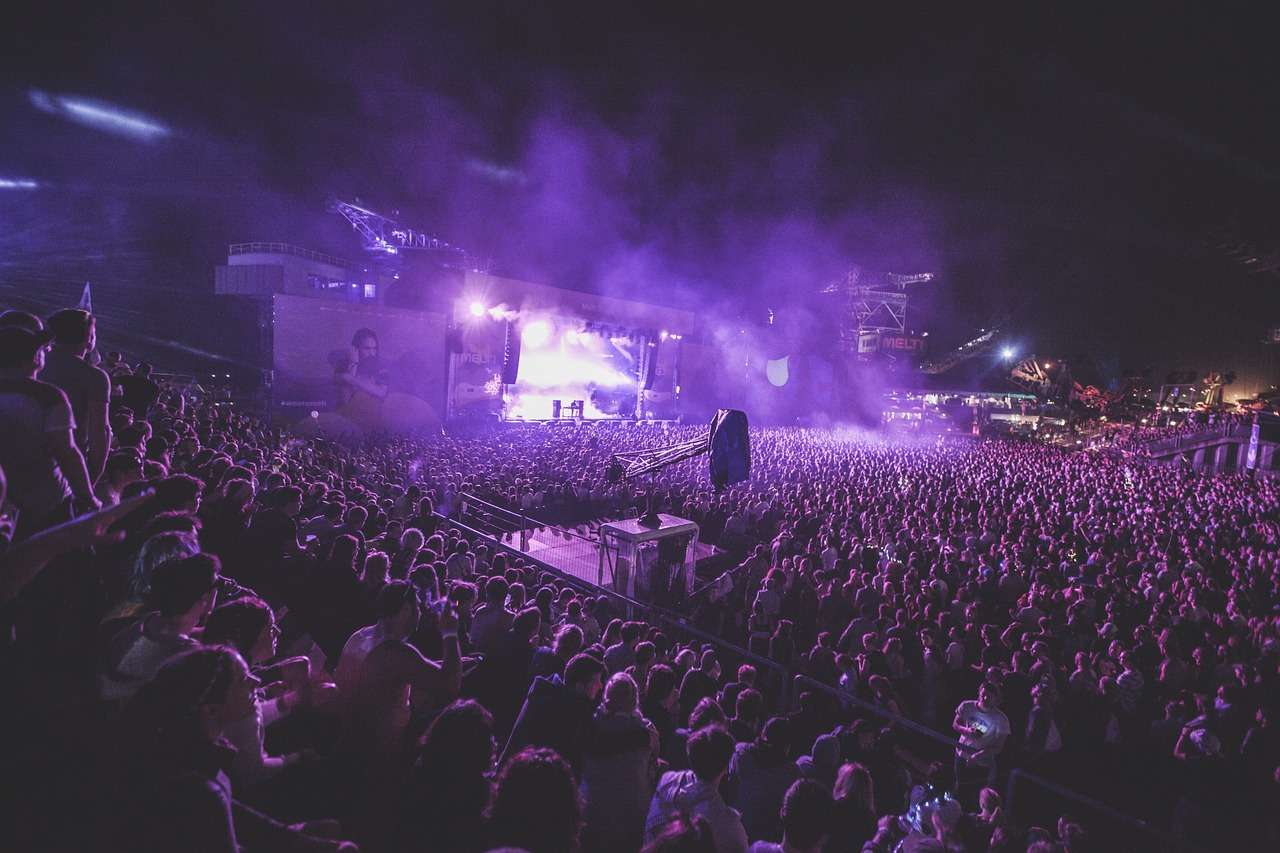 콘서트 실사 이미지 2