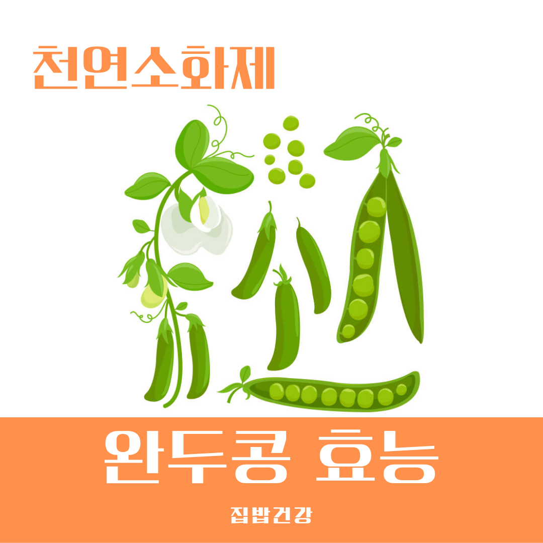 완두콩