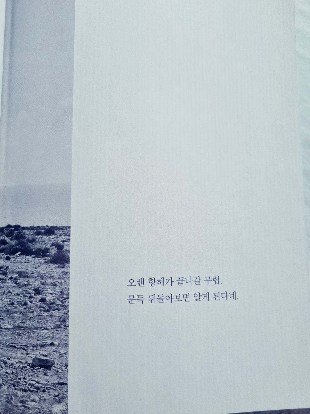 이모든걸처음부터알았더라면