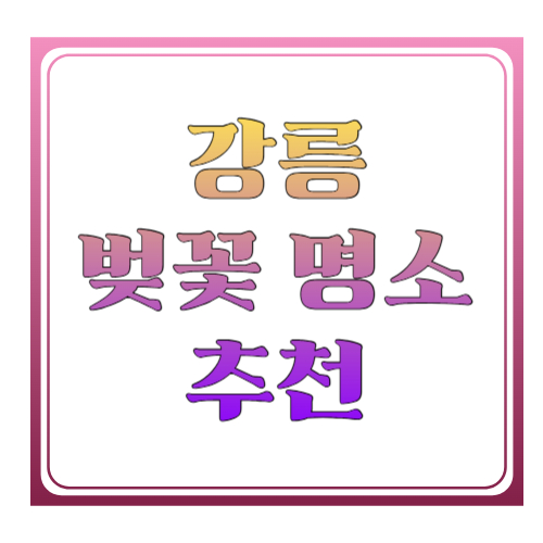 강릉 벚꽃 명소 추천: 경포호부터 남대천까지, 봄에 꼭 걷는 코스