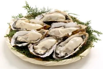 통영굴 가격 및 효능, 영양성분과 주의점