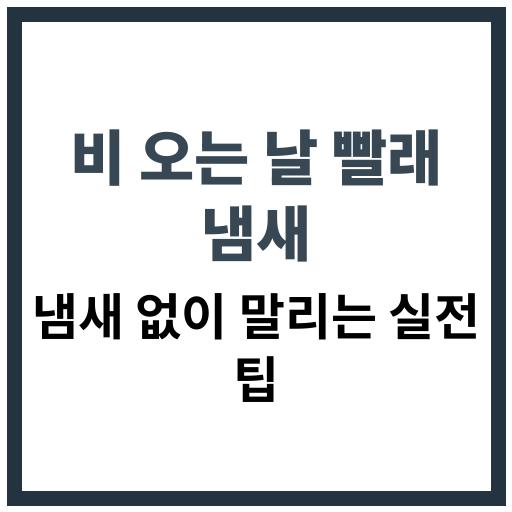 비 오는 날에도 꿉꿉한 냄새 없이 빨래를 보송하게 말리는 실전 꿀팁 정리