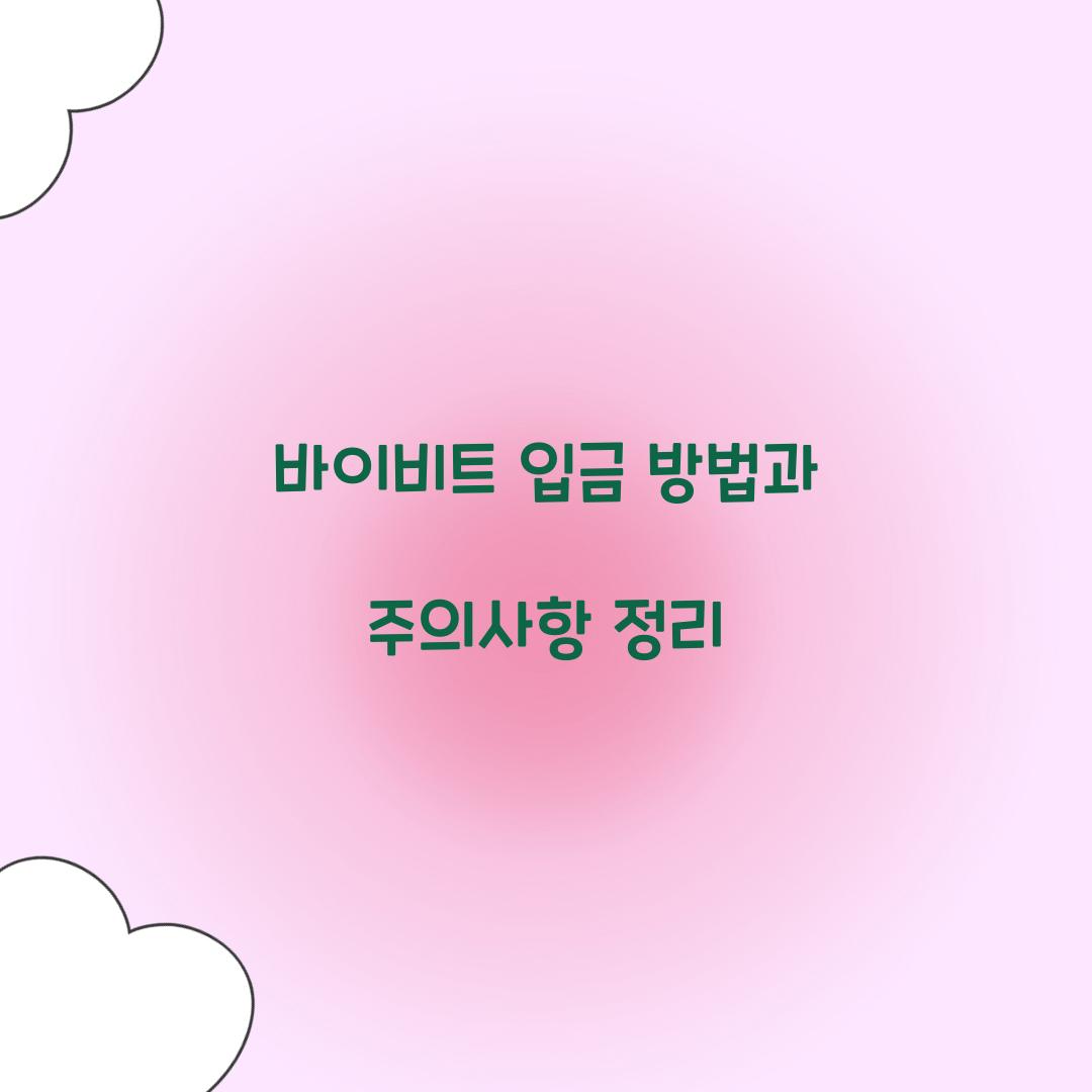 바이비트 입금