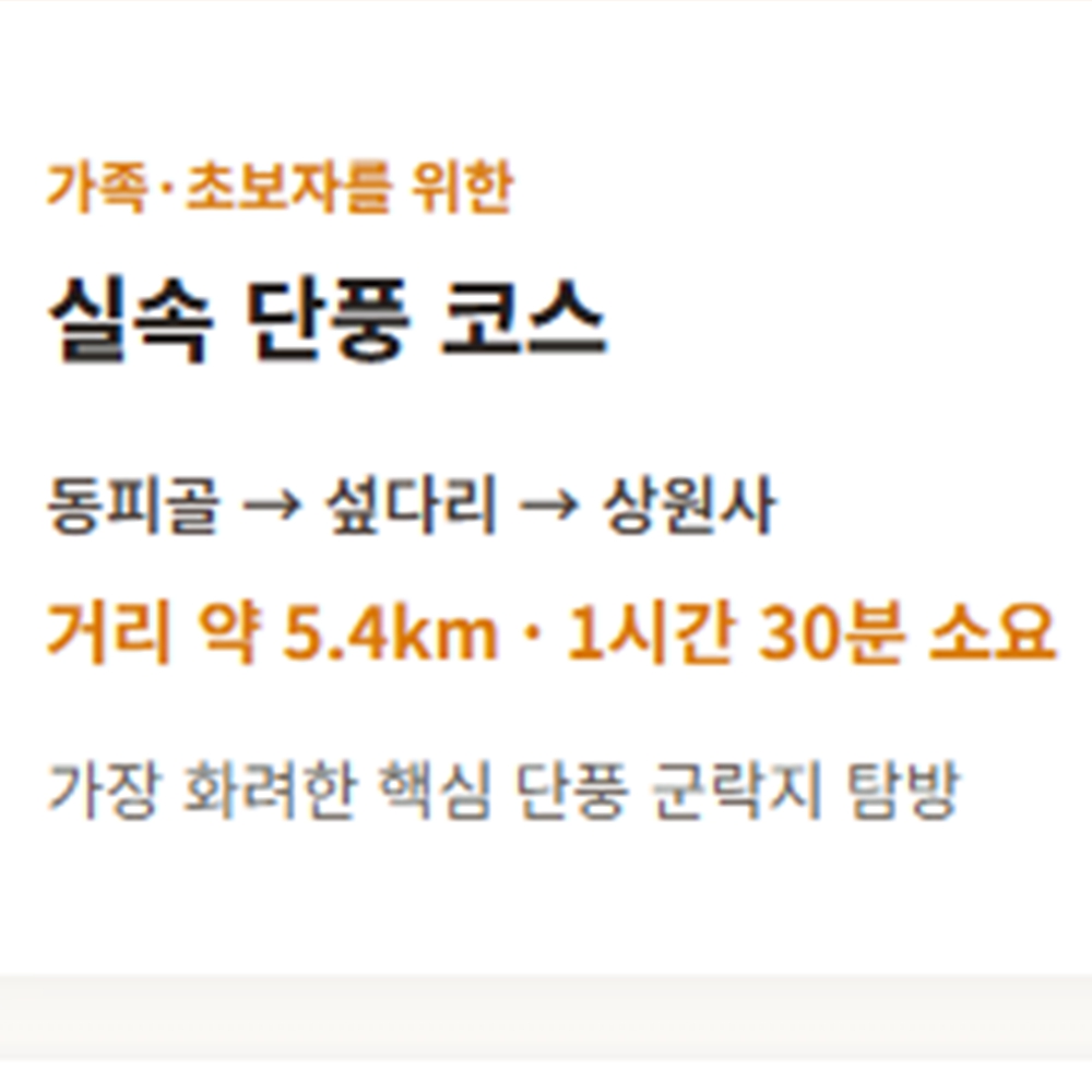 오대산 선재길 단풍