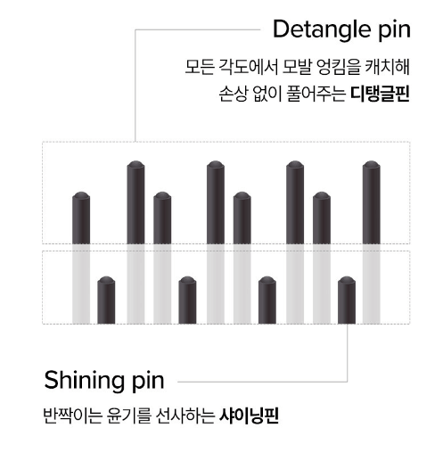하트브러쉬(리파) 구입 및 정보