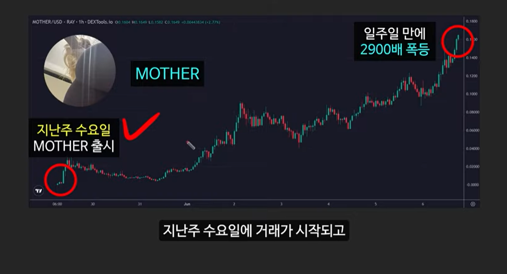 급등할 솔라나 밈코인 캣인어독스월드(MEW), 도지코인, 플로키, 벤도그, 마더, 그레이머, 워젝, 네버, 두코, 봉크