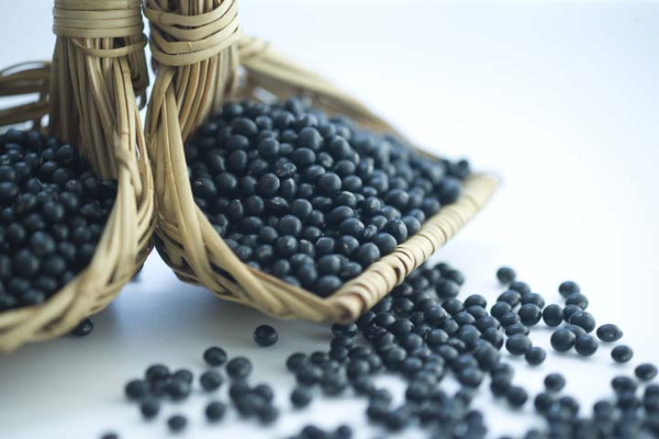 블랙푸드-검은콩