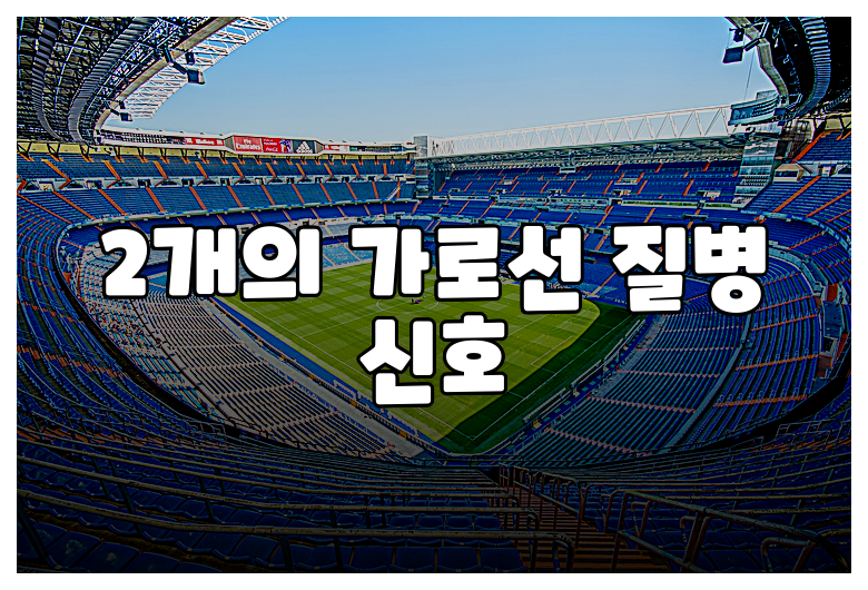 2개의 가로선 질병 신호