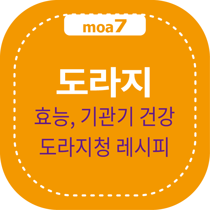 도라지 효능과 기관지 건강 효과, 도라지청 레시피