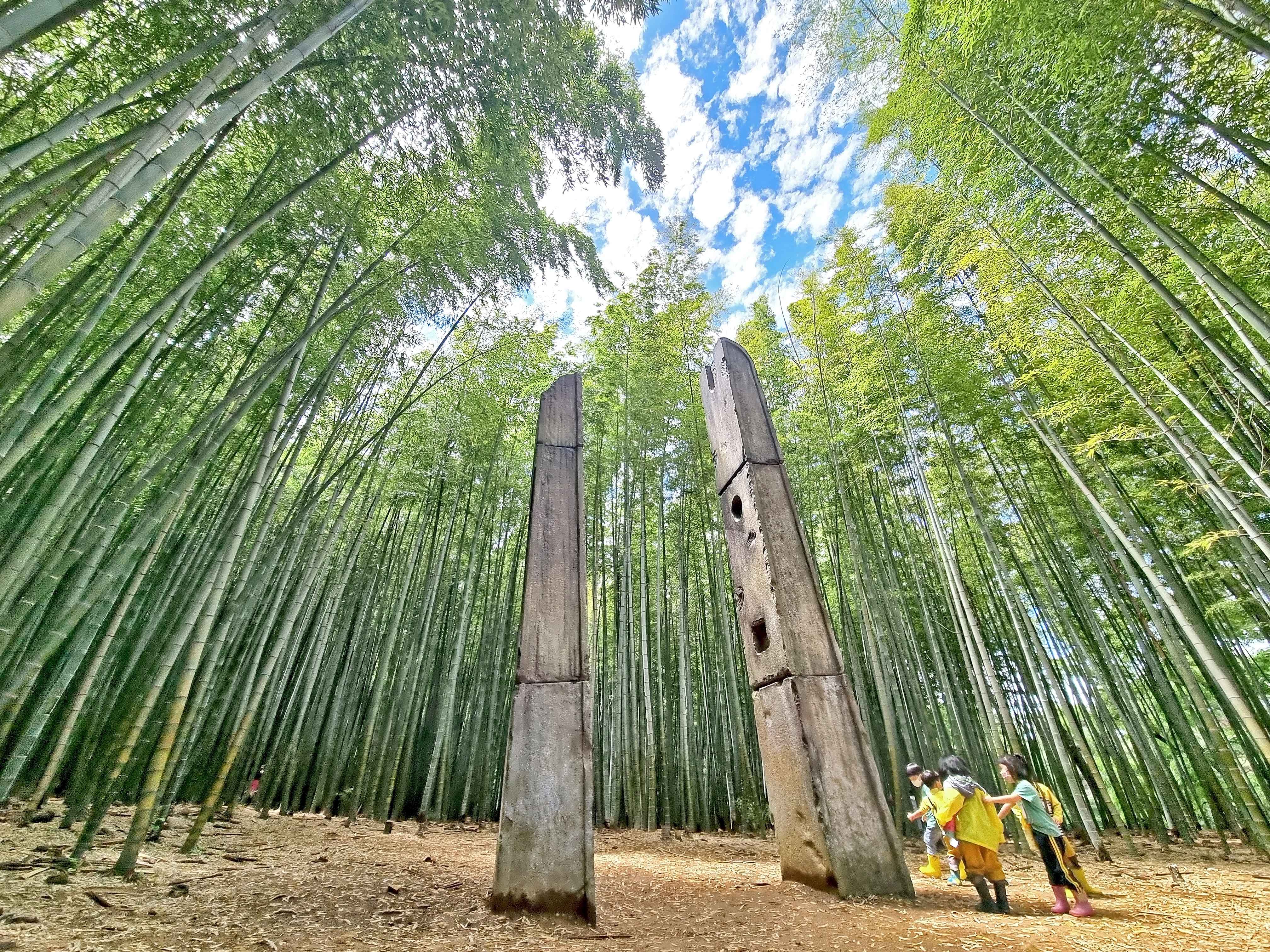 아홉산대숲, 드라마촬영지,기장가볼만한곳