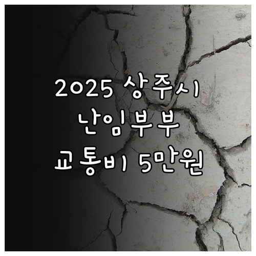 2025 상주시 난임 부부 교통비 매..