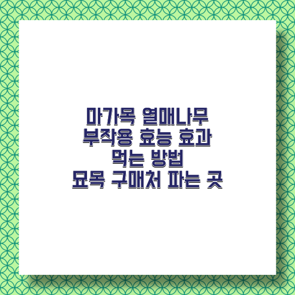 마가목 효능 부작용 가격정보