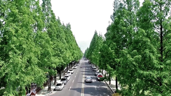 창원-가볼만한곳-사진