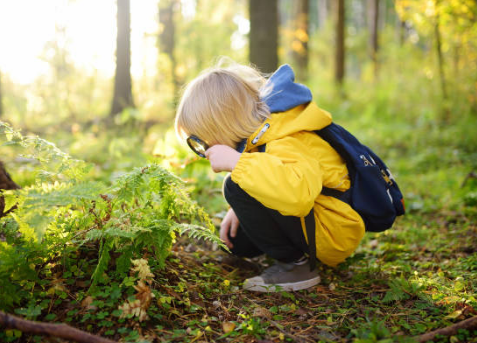 산림복지일자리사업으로 삶의 질을 높이는 방법