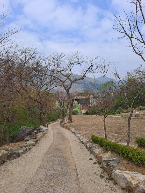 순례길 천성가는 길