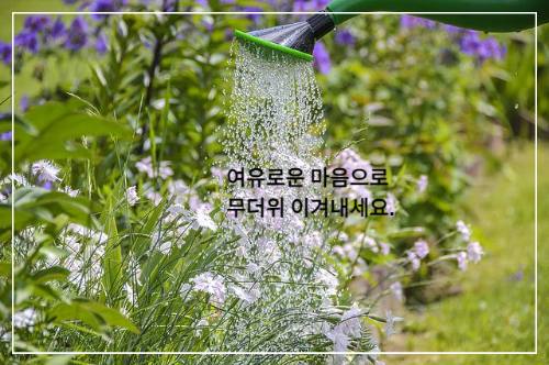 하얀 들꽃에 물 주고 있는 물뿌리개