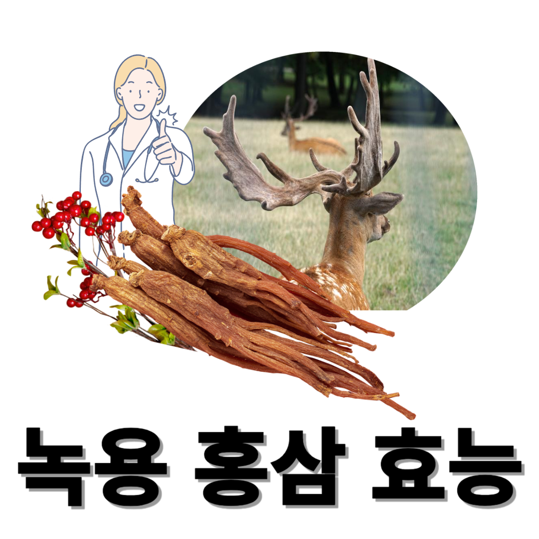 녹용과 관련된 사진입니다.