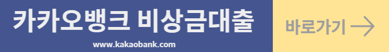 카카오뱅크 비상금대출