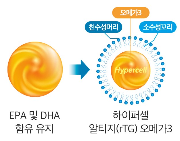 하이퍼셀오메가3-가격-추천-4