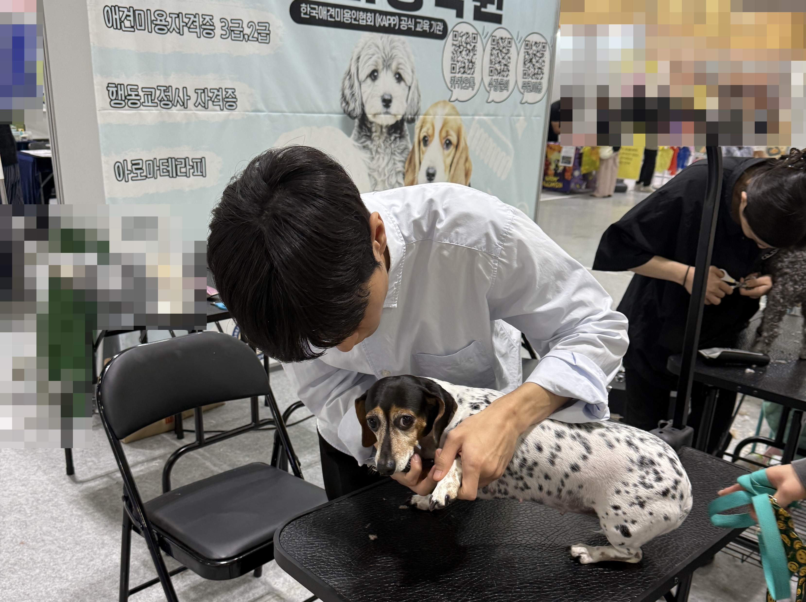 광주애견미용학원