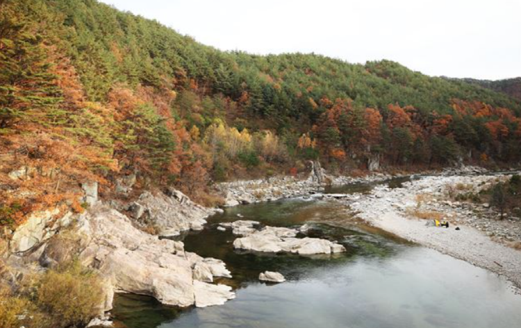 백두대간 협곡열차