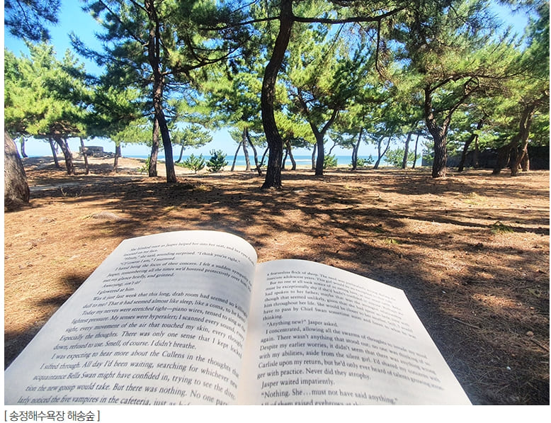 스마트한 현대건설 직원들이 추천한 “나의 최애 여름 여행지&quot;