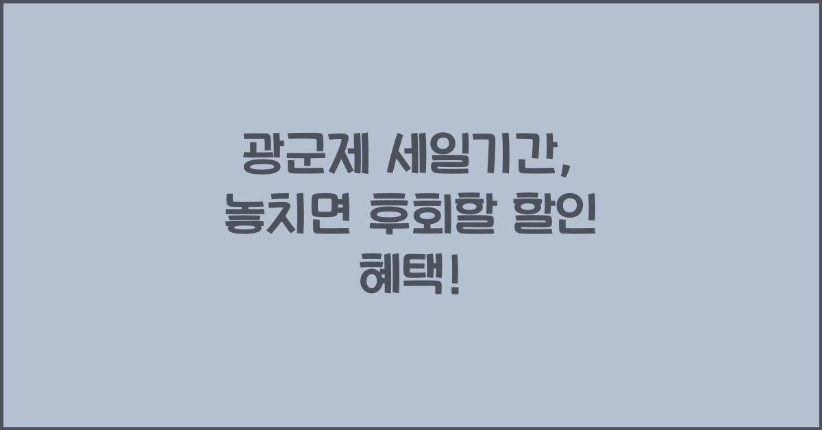 광군제 세일기간