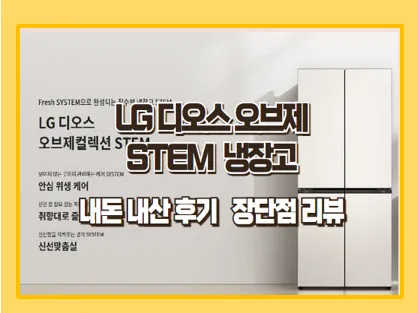 LG 디오스 STEM 베이직 냉장고 리