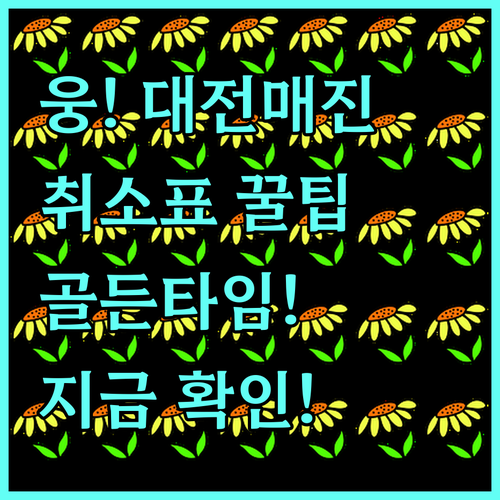 임영웅 대전 콘서트 매진 후 취소표 ..