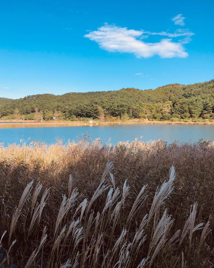 고성 가볼만한곳 베스트10