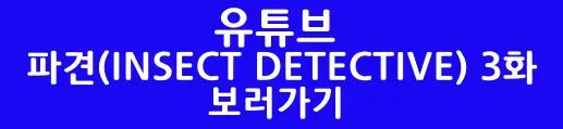 파견 3화 유튜브 보러가기 버튼