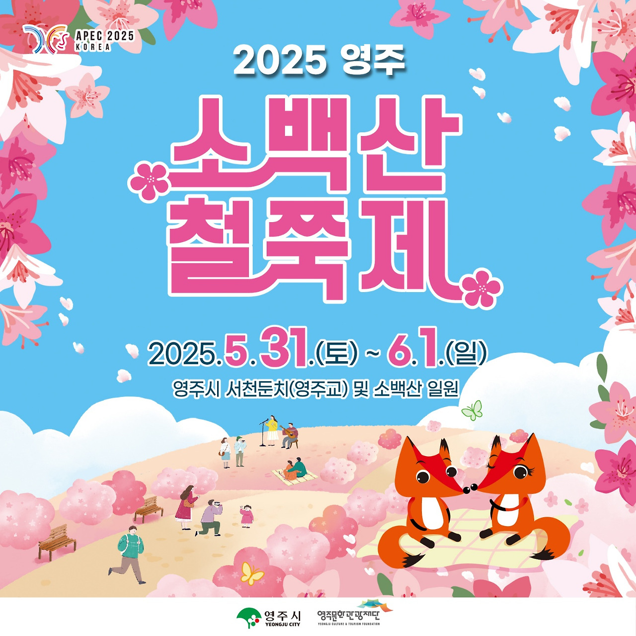 2025 영주 소백산 철쭉제