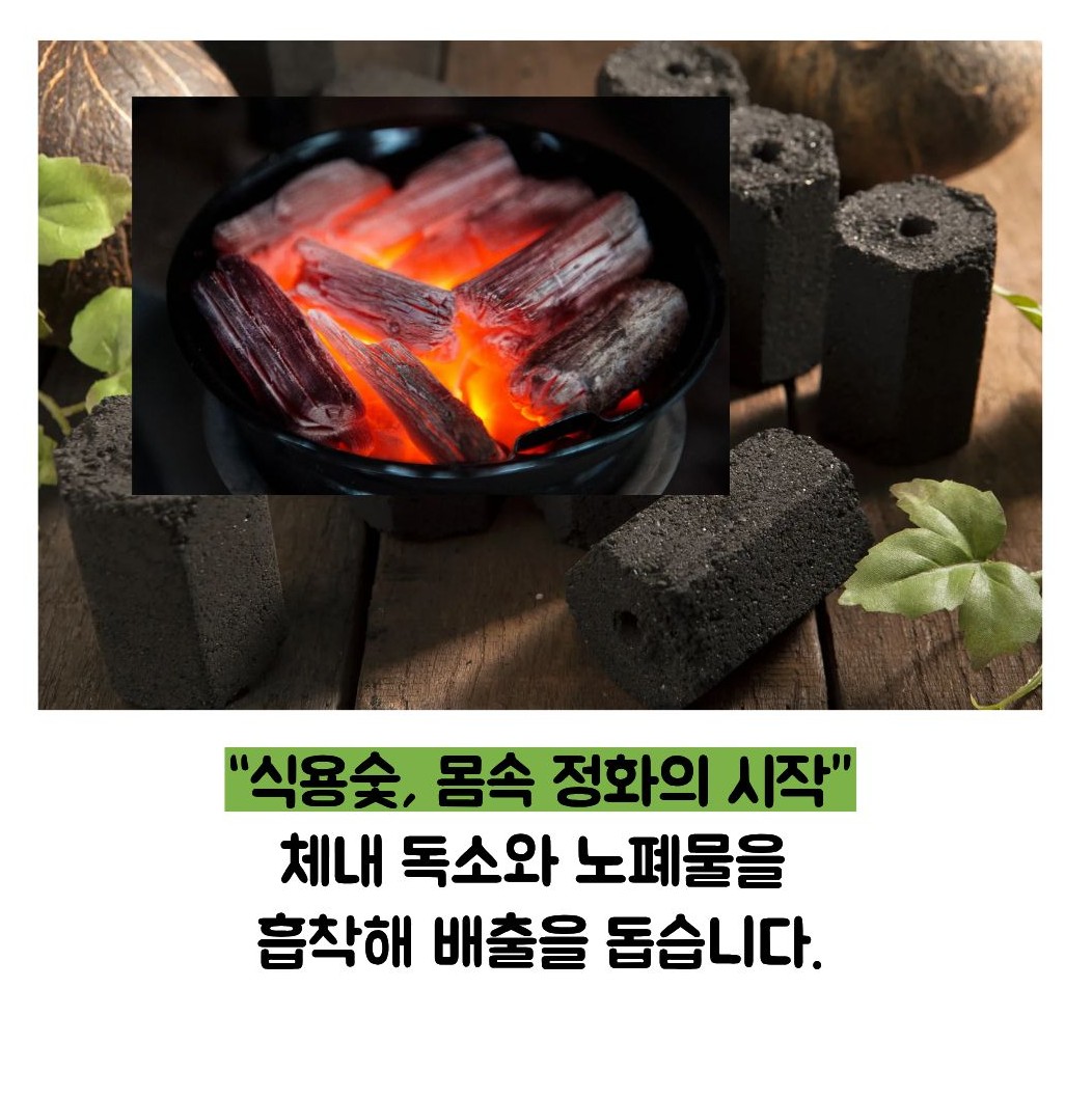 식용숯 효능