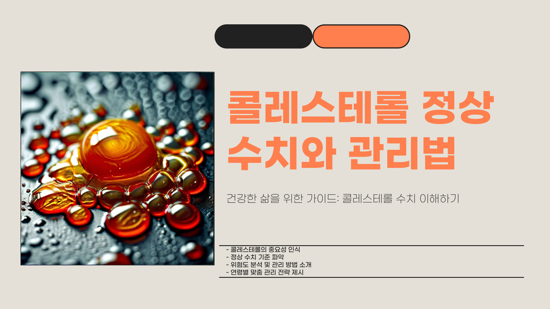 콜레스테롤 정상수치