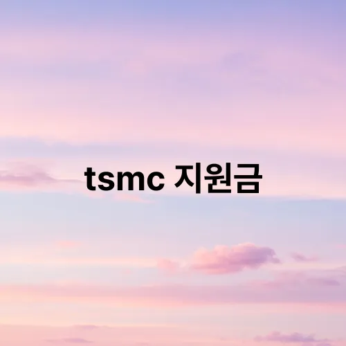 tsmc 지원금