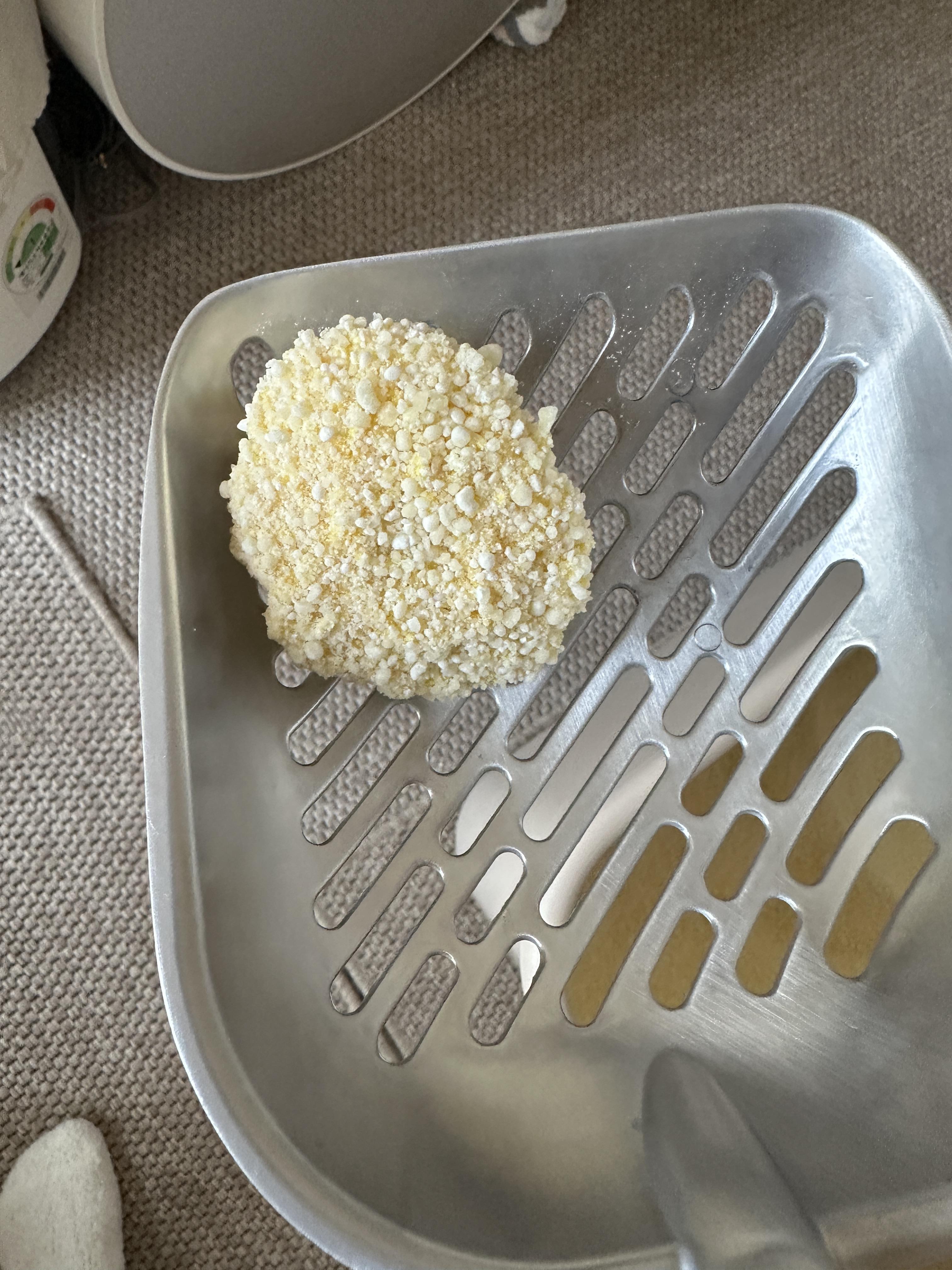 고양이_황달_증상_샛노란색_오줌_1