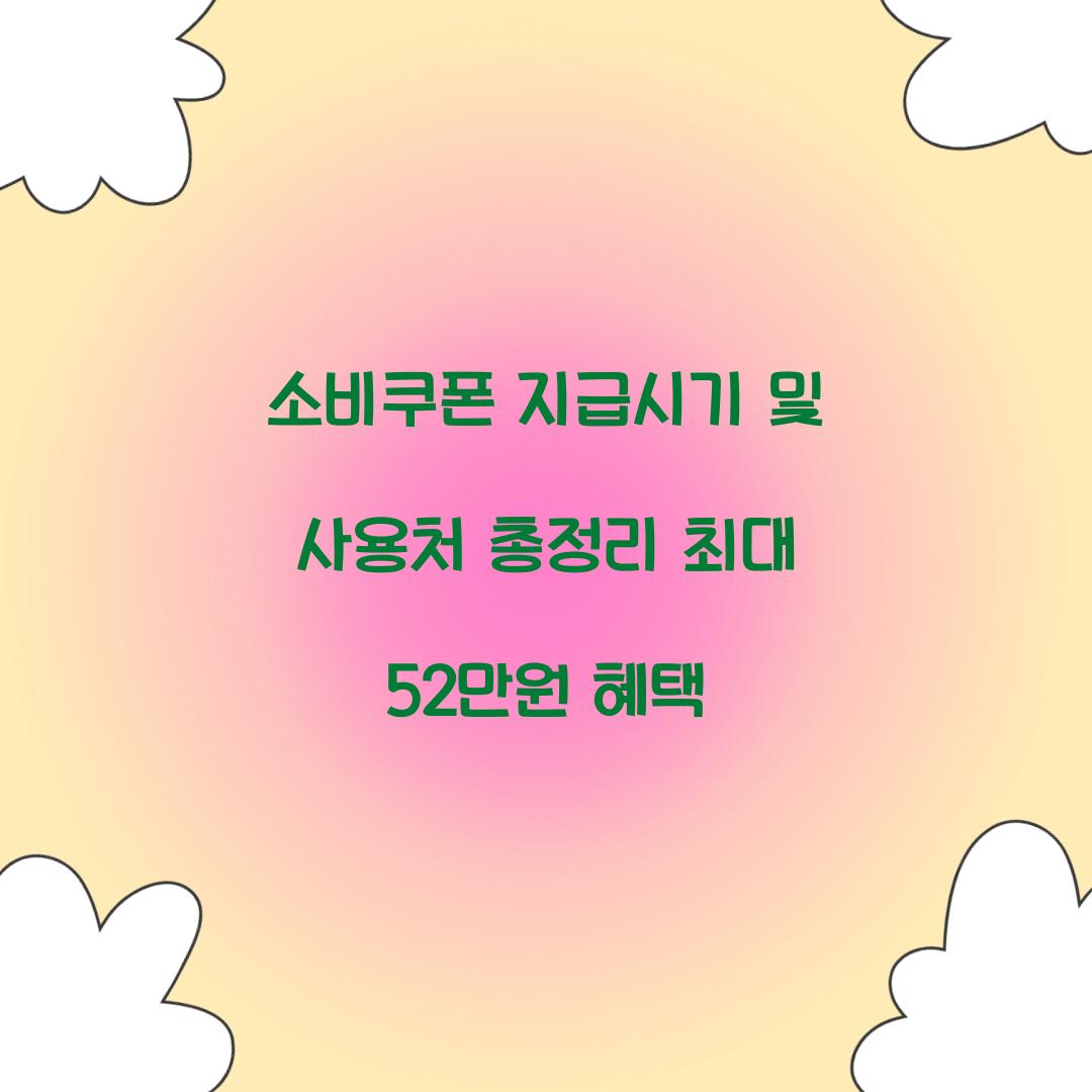 소비쿠폰 지급시기
