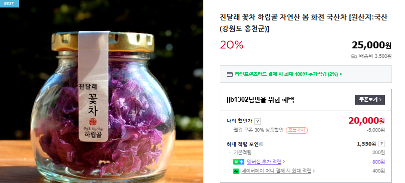 진달래 개화 시기 및 꽃말 (+ 축제 철쭉 구분)