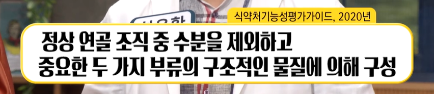 프로테오글리칸