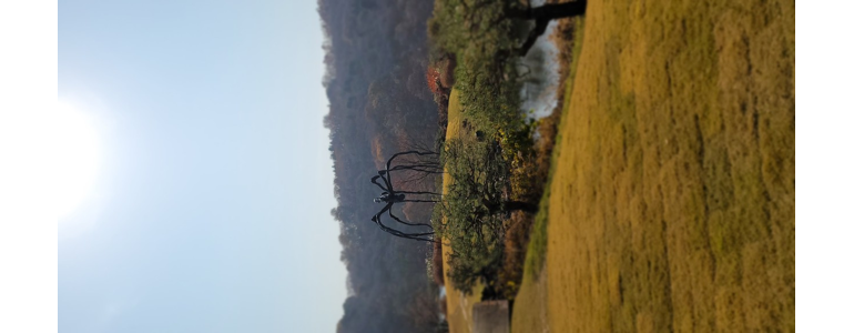 용인 수지구 cctv