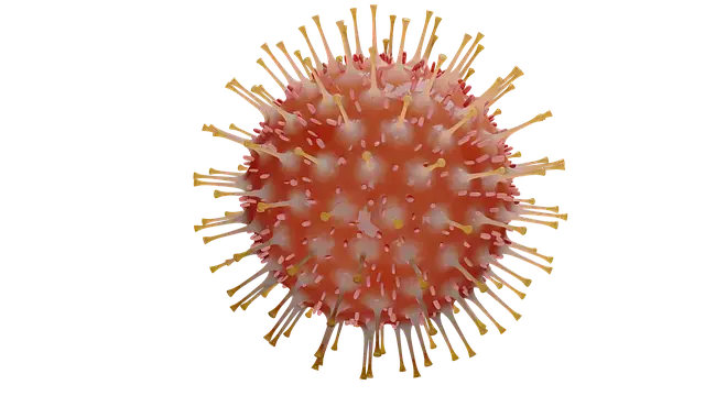 인플루엔자 독감 무료 예방 접종 안내