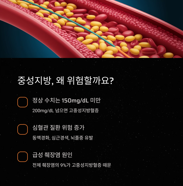 중성지방 높을 때 반드시 해야 할 5가지
