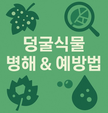 덩굴식물에 자주 발생하는 병해와 예방법 사진