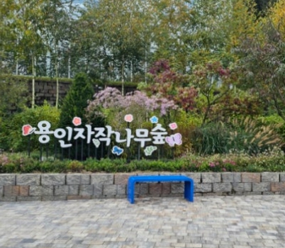 용인/새로운/인기/핫플/용/자작나/숲