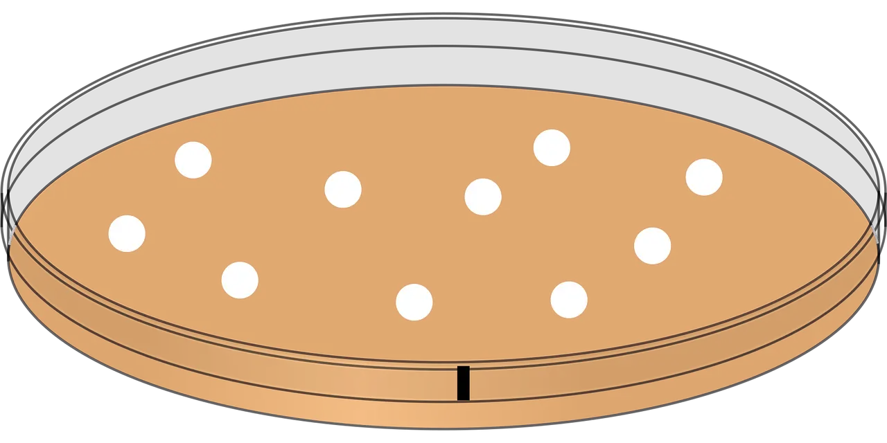 버섯종균 기능사 자격증 완벽 가이드|시험과목·응시조건·취업 전망 총정리