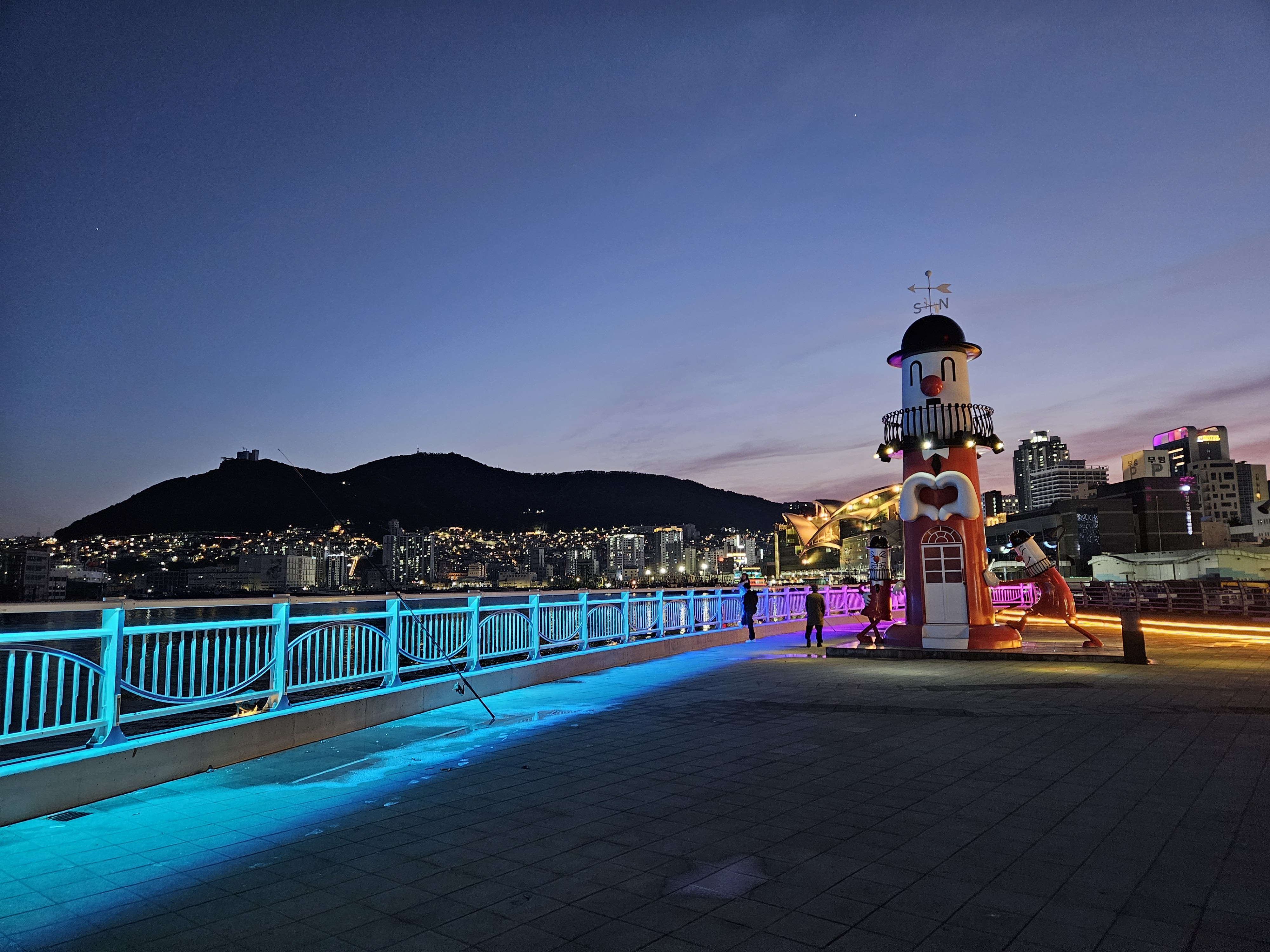 유라리공원에서 본 부산 야경, 조명과 산의 실루엣