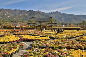 10월 전국축제 일정표