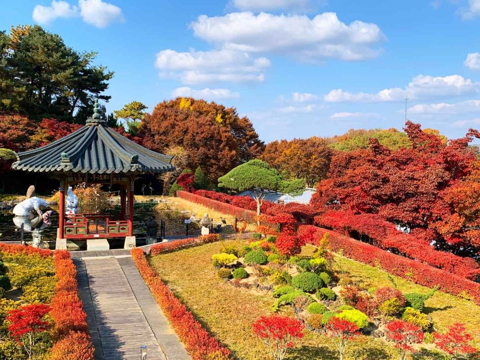 10월 지역 축제 세종 가을 축제