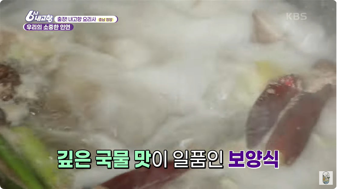 6시 내고향 낙지 덮밥 낙지 갈비탕